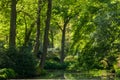 Pond, trees and green grass in a public park.