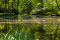 Pond, trees and green grass in a public park.