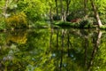 Pond, trees and green grass in a public park.