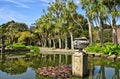 Pond and trees in Logan Botanic Gardens Royalty Free Stock Photo