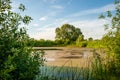 Pond and trees in the rays of the morning sun and blue sky with clouds. Royalty Free Stock Photo