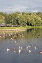 Pond in Tsaritsyno park in Moscow. Royalty Free Stock Photo