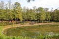 Pond of Tsing Yi Garden