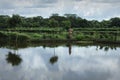 Pond and vegetable fiend in Khulna,Bangladesh.