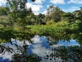 Wildfowl Trust Pond, Trinidad And Tobago
