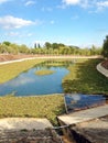 A pond overgrown with grass under a bright blue sky Royalty Free Stock Photo