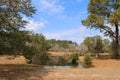 pond water backyard ranch forest land autumn fall season clear blue sky yard lake Royalty Free Stock Photo