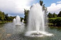 Pond with water jets of a fountain in a summer park. Royalty Free Stock Photo