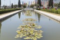 Pond with water lilies in Lisbon, colorful flags in the background. Portugal
