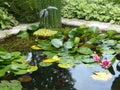Pond with a mechanical bird in Castillon garden in Normandy in France.