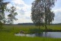 Pond with water lilies and an old red rowing boat between meadows with a large birch Royalty Free Stock Photo