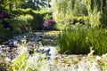 Pond with water lilies in the park Royalty Free Stock Photo