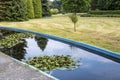 Pond with water lilies. Silesian Park, Chorzow, Poland Royalty Free Stock Photo