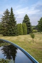 Pond with water lilies. Silesian Park, Chorzow, Poland Royalty Free Stock Photo