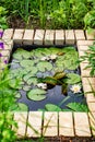 pond with water lilies and toy ducks. landscape design with your own hands Royalty Free Stock Photo