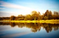 Pond water surface with reflection Royalty Free Stock Photo