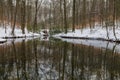 Pond with waterfall at the Casino Park in Georgsmarienhuette, Lower Saxony, Germany