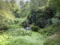 Pond with waterfall