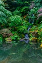 Pond and waterfall among trees at Portland Japanese Garden, Portland, USA Royalty Free Stock Photo