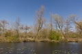 Pond with weeping willows and other trees in the Flemish countryside. Royalty Free Stock Photo