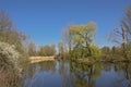 Pond with weeping willows and other trees in the Flemish countryside. Royalty Free Stock Photo