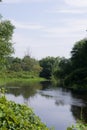 The Pond in Whitcomb Woods, near Wilson`s Mountain Royalty Free Stock Photo