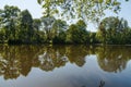 Pond wiht trees mirroring and clear sky in Pszczyna town in Poland