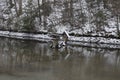 Pond in winter and feeders for ducks, snow