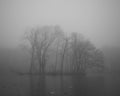 Pond in winter in a foggy forest Royalty Free Stock Photo