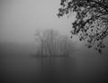 Pond in winter in a foggy forest Royalty Free Stock Photo