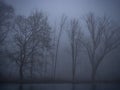 Pond in winter in a foggy forest Royalty Free Stock Photo