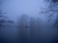 Pond in winter in a foggy forest Royalty Free Stock Photo