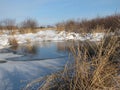 Pond in winter