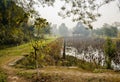 Pond with withered lotus in sunny winter Royalty Free Stock Photo