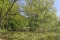 Pond with wooden bridge, Germany