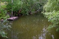 Pond with wooden pier.