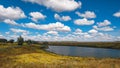 The pond yellow field grasses blooming on its banks and white clouds in the blue sky.