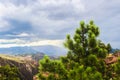 Ponderosa Pine standing proud in foreground against blurred background of canyon mountains and dramatic stormy sky