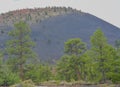 Ponderosa Pine Trees with Tephra Volcanic ash on the mountain slopes in the background. Flagstaff, Arizona Royalty Free Stock Photo