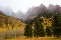 Ponderosa pines and aspens near Aspen, Colorado, with high mountains shrouded in mist Royalty Free Stock Photo