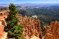 Ponderosa Point at Bryce Canyon