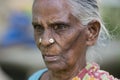 Portrait of an Indian old senior poor woman with saree Royalty Free Stock Photo