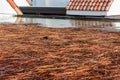 Ponding water on flat roof covered with tree debris after heavy rain