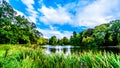 Ponds and Lakes in the Parks surrounding Castle De Haar Royalty Free Stock Photo