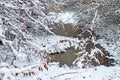 Ponds with patches of snow.