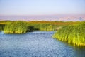 Ponds at sunset in Coyote Hills Regional Park; on the background smoke from Soberanes fire is visible, Fremont, San Francisco bay Royalty Free Stock Photo