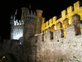 Ponferrada by night Royalty Free Stock Photo
