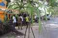 Pongal festival celebration in Pondicherry - harvest festival of South India - India tourism - street vendors selling sugarcane