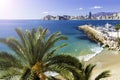 Poniente beach with palm trees, the port, skyscrapers and mountains , Benidorm Spain Royalty Free Stock Photo