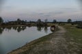 Cadnams pool sunset ponies